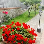 Alba Bed & Breakfast Sant' Anastasia