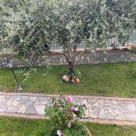 住宿加早餐酒店 Alba SantʼAnastasia