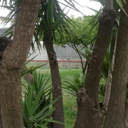 Alba 住宿加早餐酒店 3*